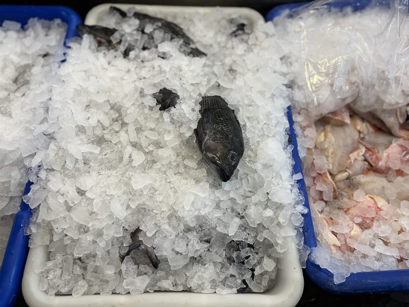 Market Fisheries interior