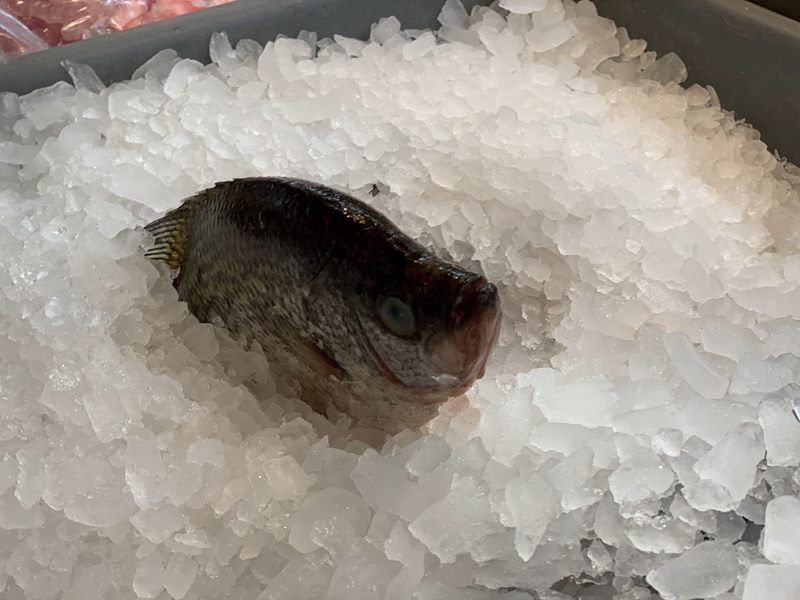Market Fisheries food